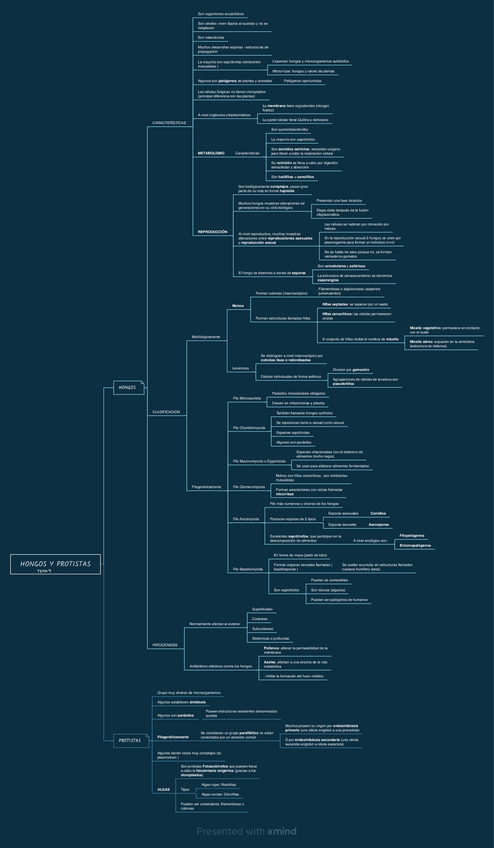 Miniatura del documento TEMA-9.pdf