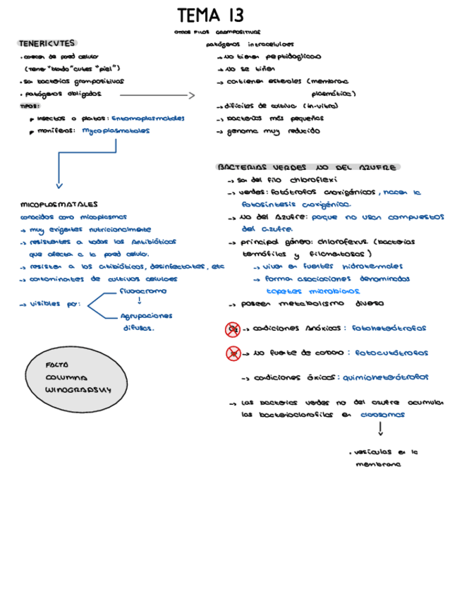 Miniatura del documento TEMA-13.pdf
