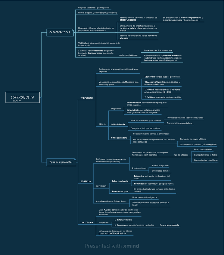 Miniatura del documento TEMA-15.pdf