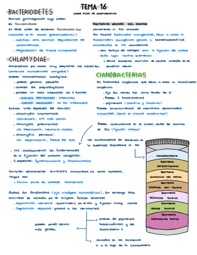 Miniatura del documento TEMA-16.pdf