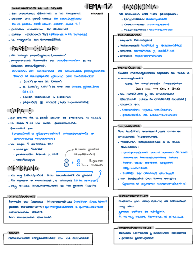 Miniatura del documento TEMNA-17.pdf