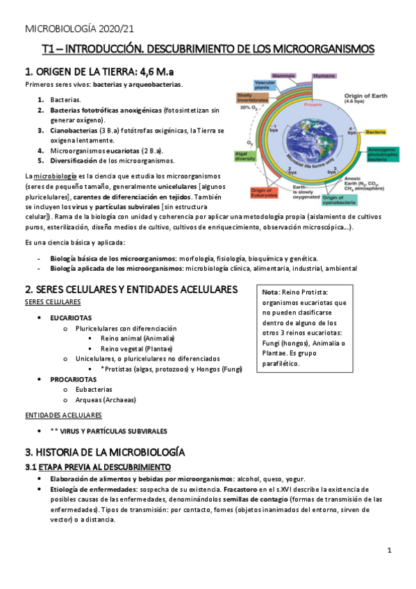 Miniatura del documento MICROBIOLOGIA.pdf