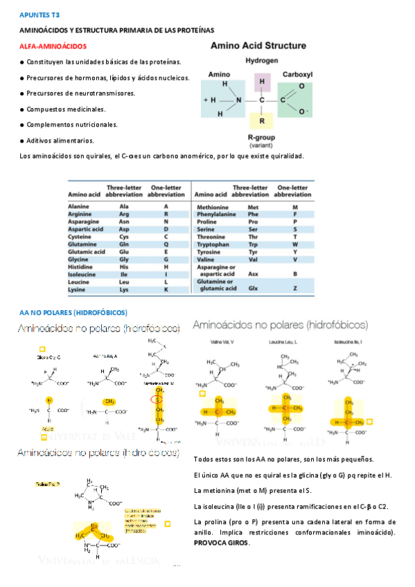 Miniatura del documento APUNTES-T3.pdf