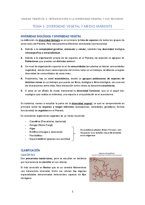 Miniatura del documento TEMARIO-COMPLETO-BAA.pdf