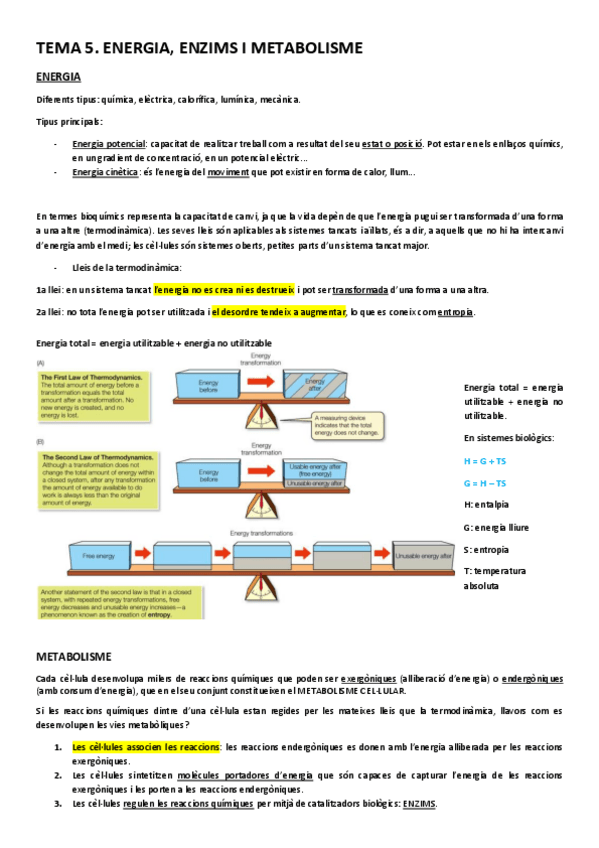 Miniatura del documento ENERGIA-I-ENZIMS.pdf