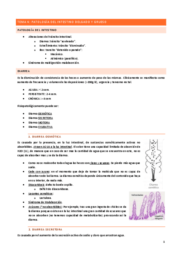 Miniatura del documento Tema-4.pdf