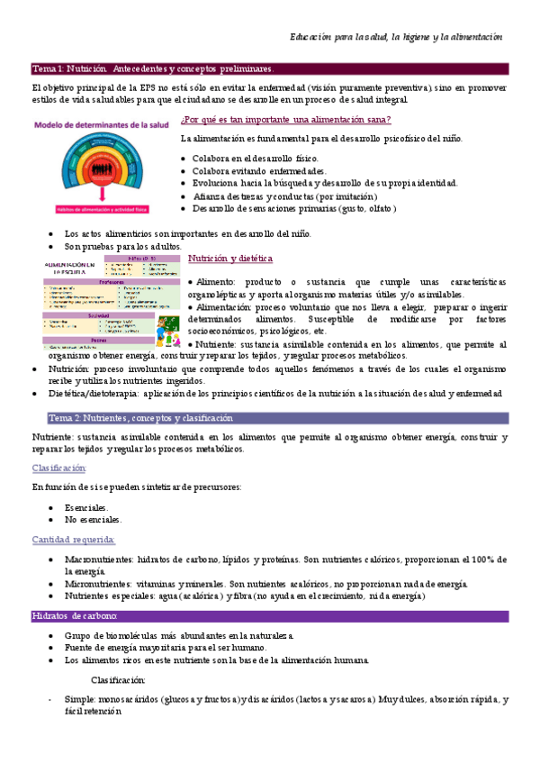 Miniatura del documento TEMAS-1-Y-2.pdf