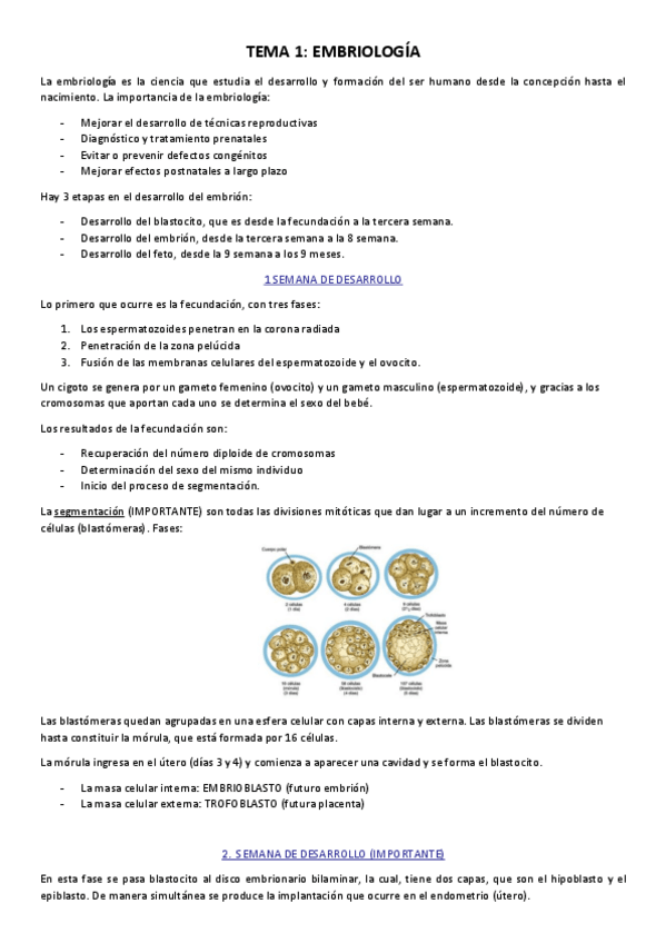 Miniatura del documento Tema-1-Embriologia.pdf
