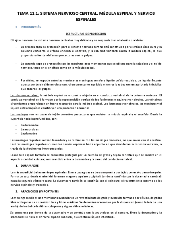 Miniatura del documento Tema-11.1-Medula-espinal.pdf