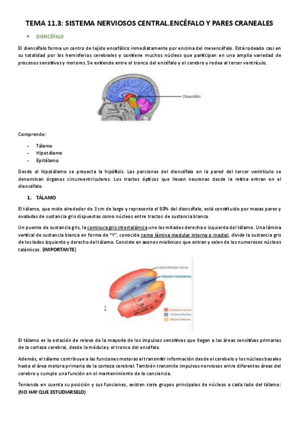 Miniatura del documento Tema-11.3-Encefalo-y-pares-craneales.pdf