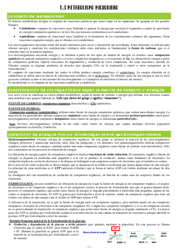 Miniatura del documento 5-Metabolismo-microbiano.pdf