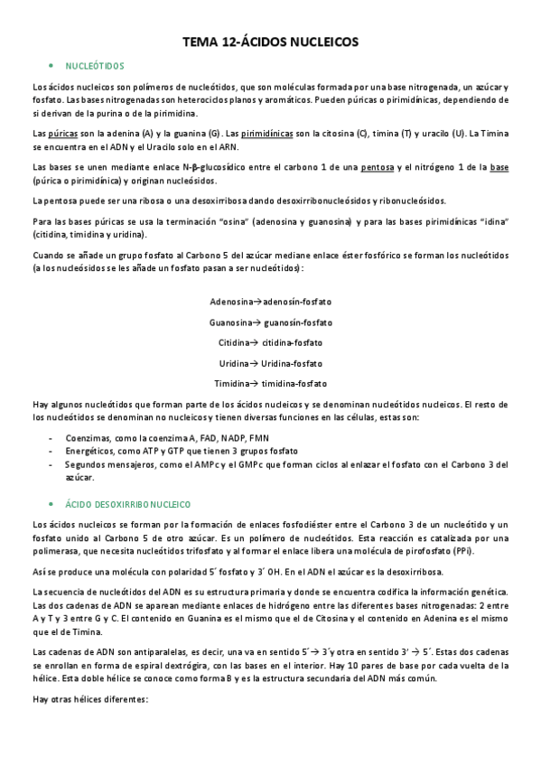 Miniatura del documento Tema-12-acidos-nucleicos.pdf