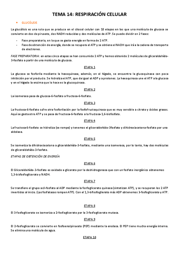 Miniatura del documento Tema-14-respiracion-celular.pdf