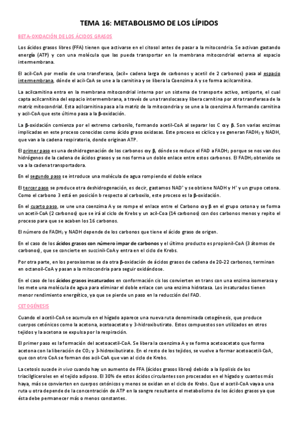 Miniatura del documento Tema-16-metabolismo-lipidico.pdf