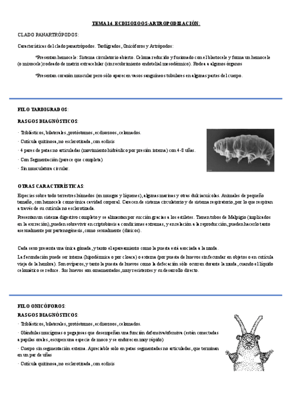 Miniatura del documento tema-14.-ecdisozoos-y-artropodizacion.pdf