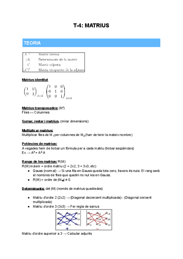 Miniatura del documento T-4: Matrius & -Determinants | Mates.pdf