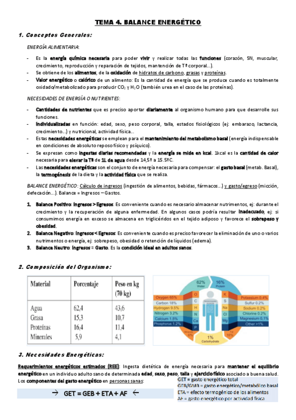 Miniatura del documento TEMA-4.-Balance-Energetico.pdf