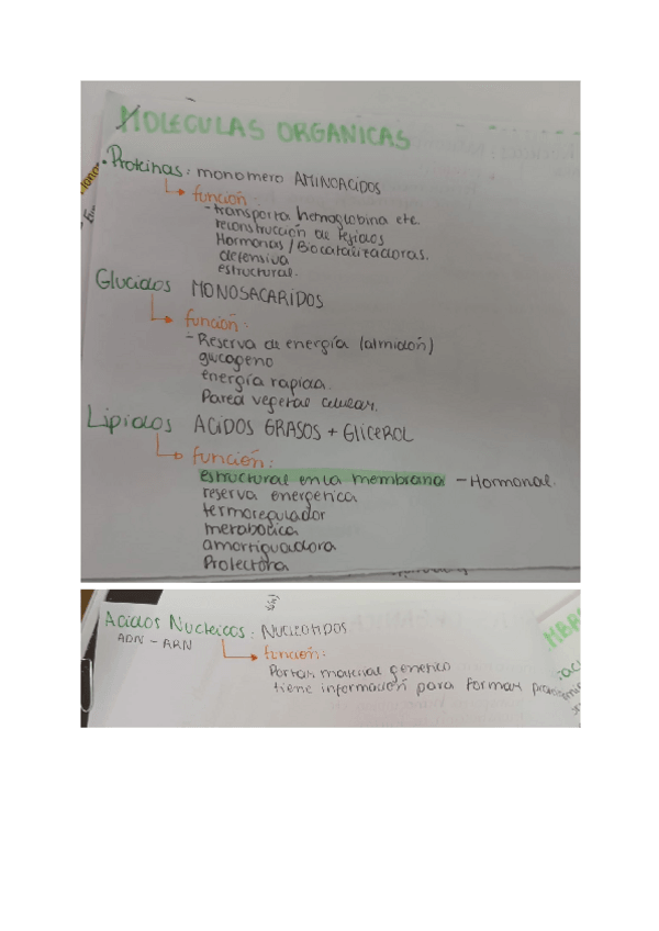 Miniatura del documento Resumen-molec.-organicas.pdf