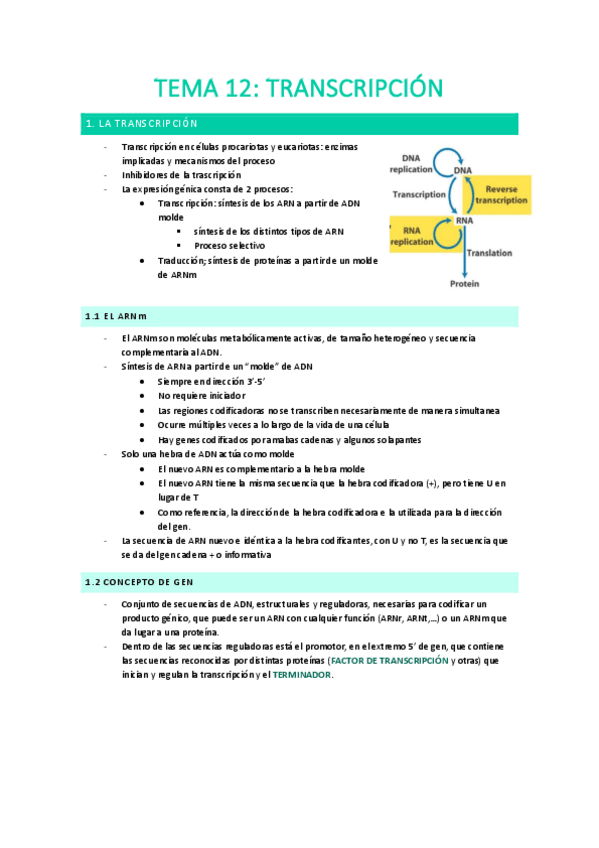Miniatura del documento Tema-12-La-transcripcion.pdf
