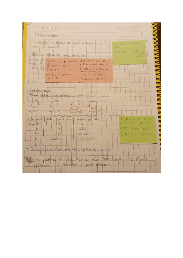 Miniatura del documento Genetica-herencia-y-tipo-de-sangre.pdf