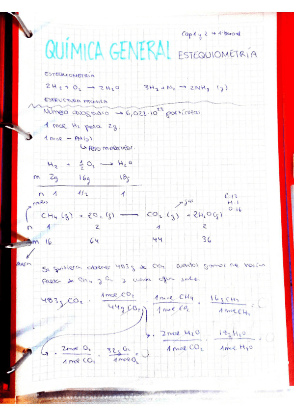 Miniatura del documento TEMA-1-ESTEQUIOMETRIA.pdf