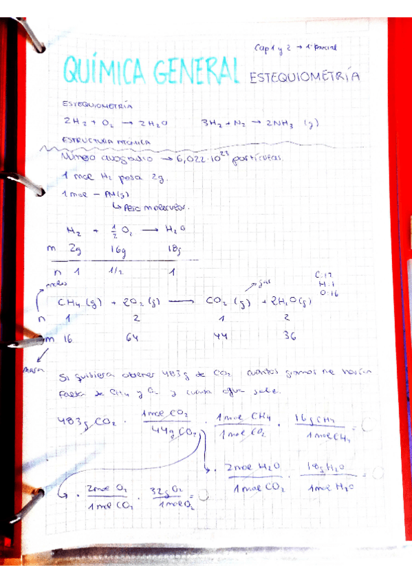 Miniatura del documento ESTEQUIOMETRIA.pdf