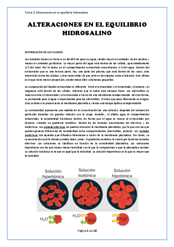 Miniatura del documento Tema-2.-Alteraciones-en-el-equilibrio-hidrosalino.pdf
