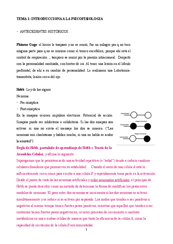 Miniatura del documento Psicofisio-apuntes.pdf
