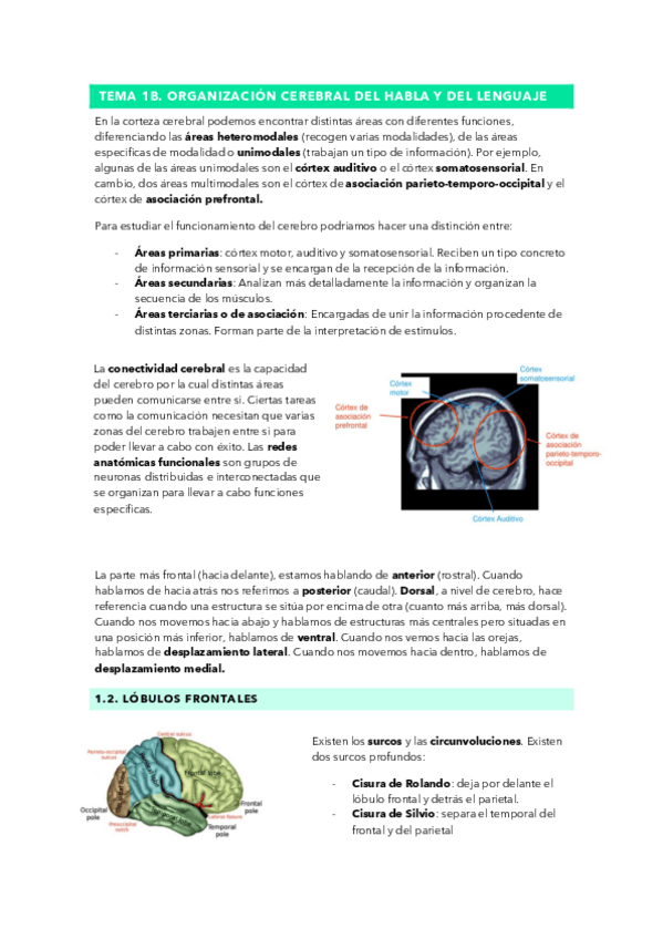 Miniatura del documento Tema-1B.-TLEN.pdf