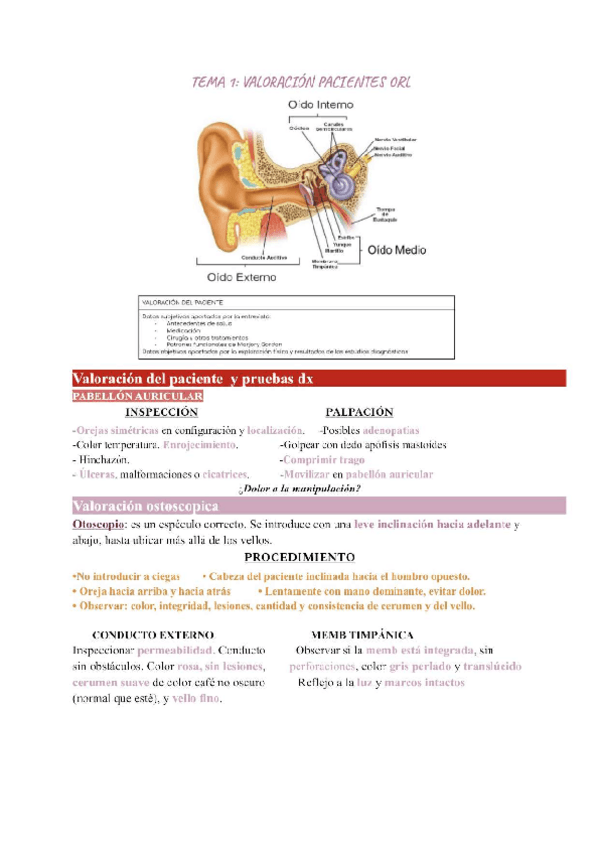 Miniatura del documento t1-otorrino.pdf