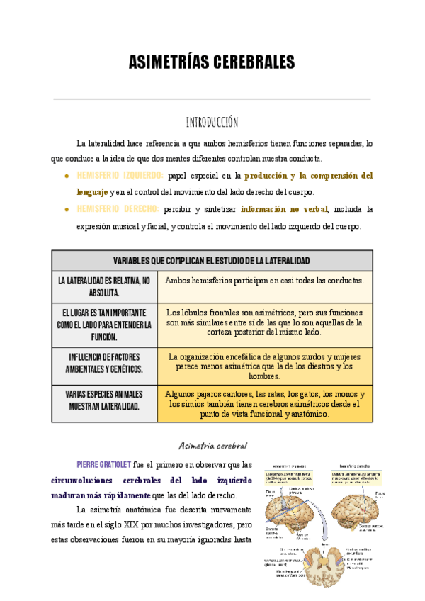 Miniatura del documento Asimetrías cerebrales.pdf