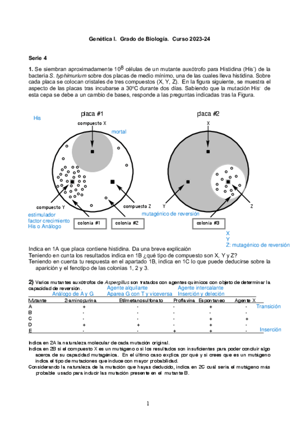 Miniatura del documento Serie-4.pdf