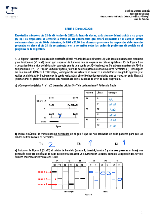 Miniatura del documento Serie-6.pdf