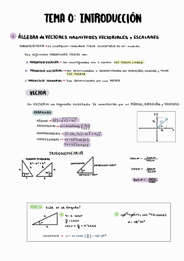 Miniatura del documento tema-0-de-fisica.pdf