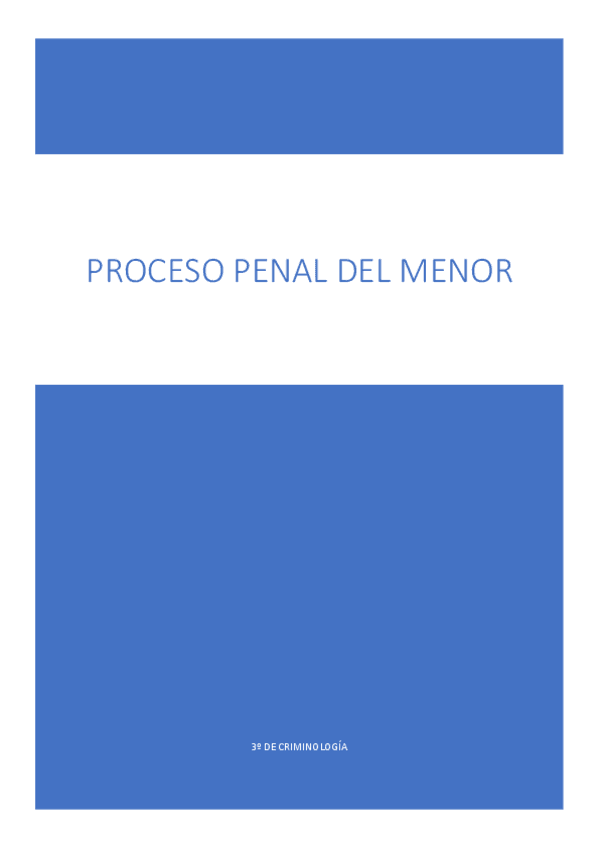 Miniatura del documento APUNTES-PROCESO-PENAL-DEL-MENOR-3o.pdf