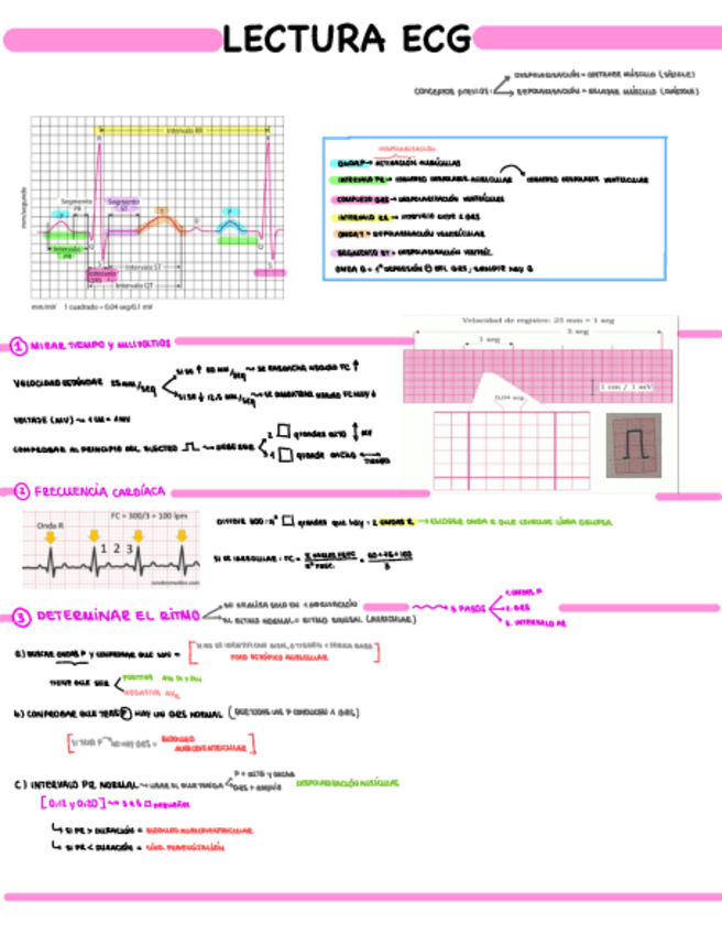 Miniatura del documento Apuntes-electro.pdf