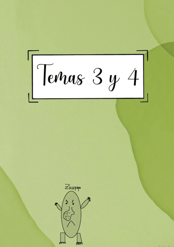 Miniatura del documento Ejercicios-Temas-3-y-4.pdf