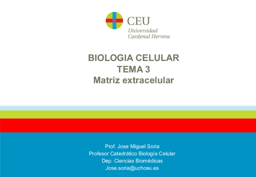 Miniatura del documento tema-3-matriz-.ptt-2.pdf