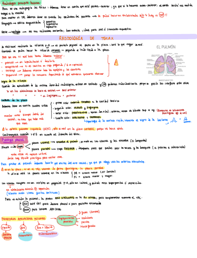 Miniatura del documento Radiologia-de-torax.pdf