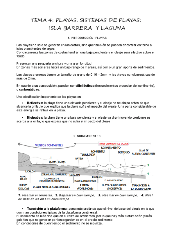 Miniatura del documento T4-Playas-y-sistemas-de-playas.pdf