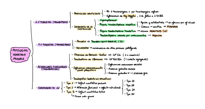 Miniatura del documento Patologias-Hemostasia-primaria-esquema.pdf