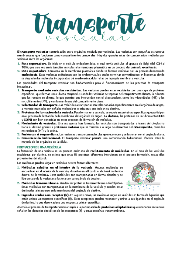 Miniatura del documento 15.-TRANSPORTE-DE-MEMBRANAS.pdf