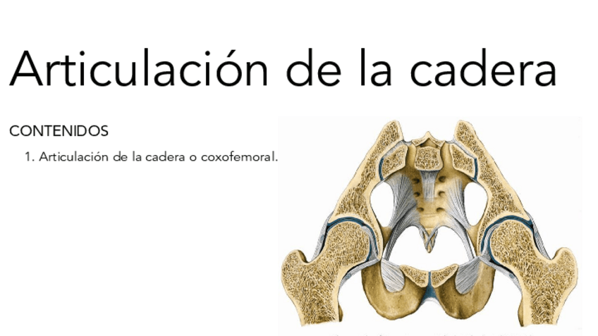 Miniatura del documento Articulacion-cadera.pdf