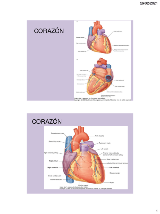 Miniatura del documento CORAZON-2.pdf