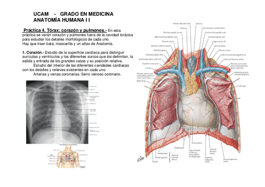 Miniatura del documento Practica-4-2022-23.pdf