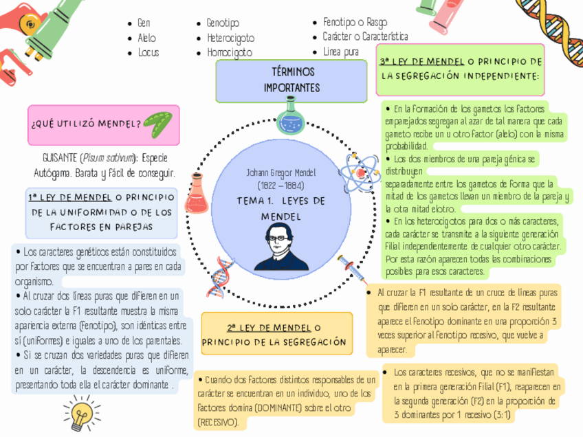 Miniatura del documento mapa-mental-del-tema-1.pdf