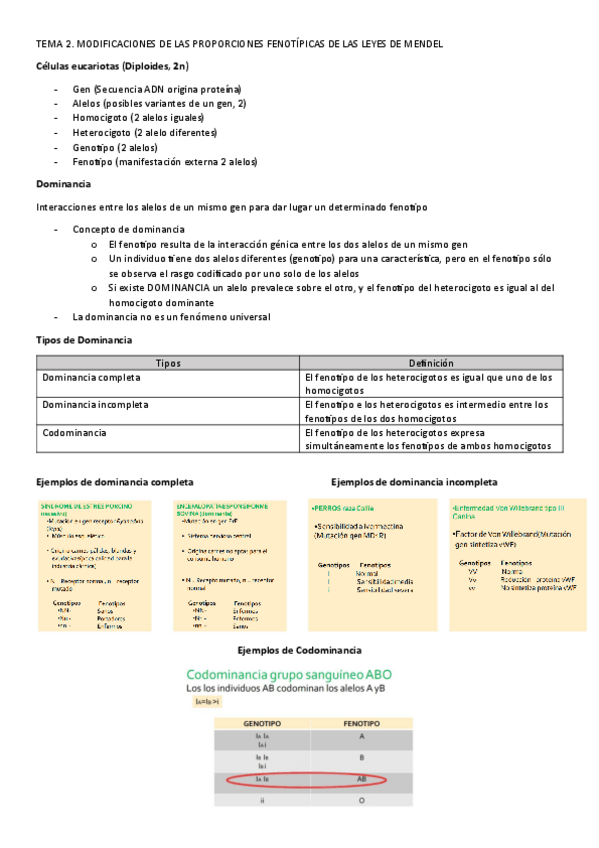 Miniatura del documento TEMA-2.-MODIFICACIONES-DE-LAS-PROPORCIONES-FENOTIPICAS-DE-LAS-LEYES-DE-MENDEL.pdf