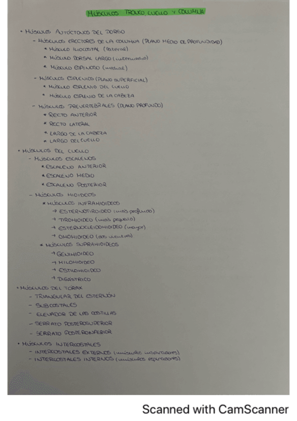 Miniatura del documento musculos-tronco-cuello-y-columna.pdf