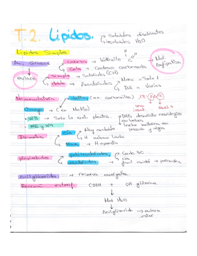 Miniatura del documento Lipidos-t2.pdf