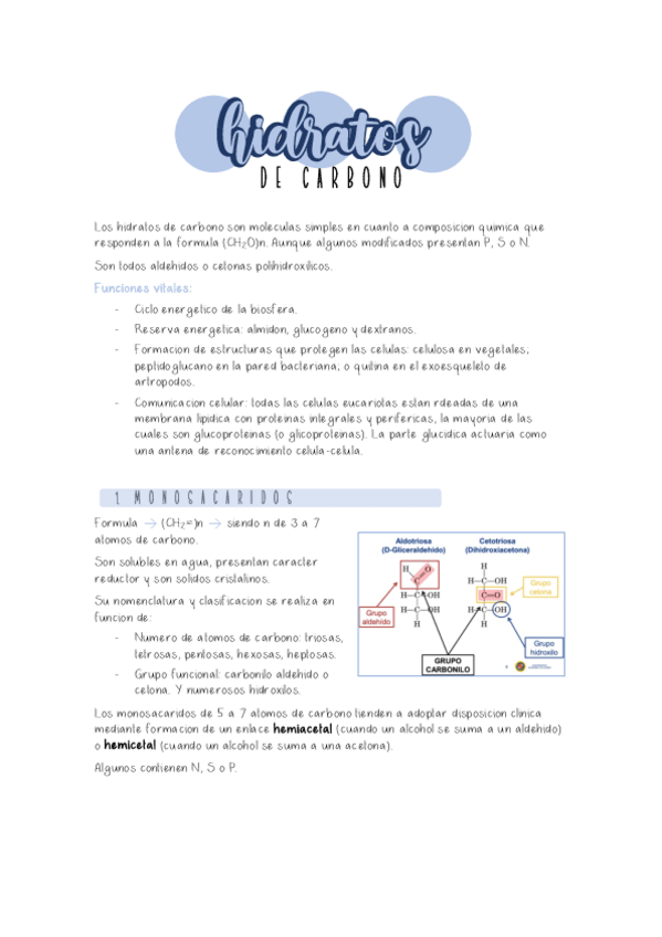 Miniatura del documento Tema-2-hidratos-de-carbono.pdf
